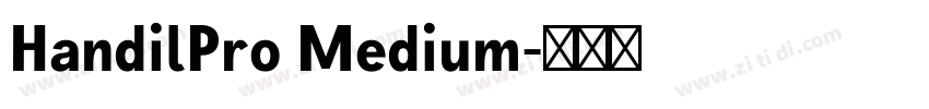 HandilPro Medium字体转换